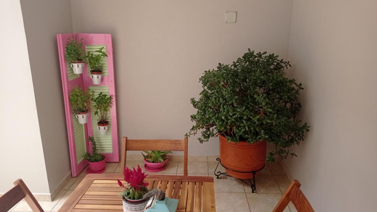 Elena Apartment Artemida  Ngoại thất bức ảnh